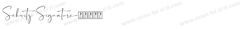 Schwitz Signature字体转换